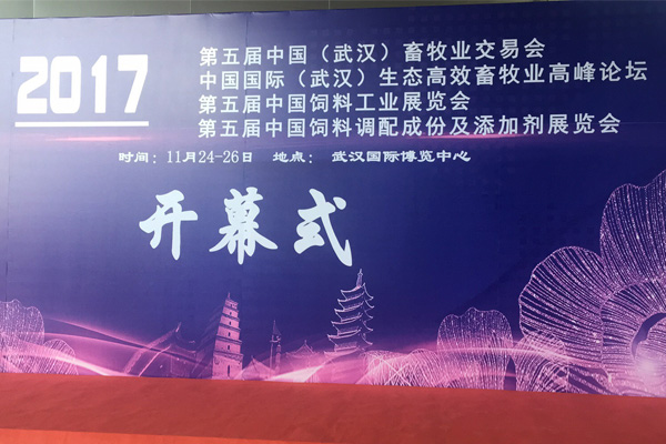 武漢展會1.jpg